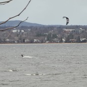 Kite boarding, a cold weather sport... HMW