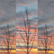 Sunrise Collage (2)