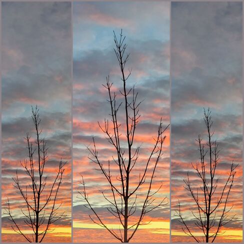 Sunrise Collage (2) Saskatoon, SK