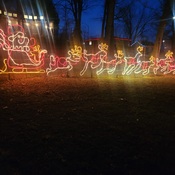 lights in waterloo park