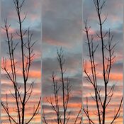 Sunrise Collage (4)
