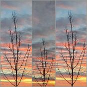 Sunrise Collage (5)