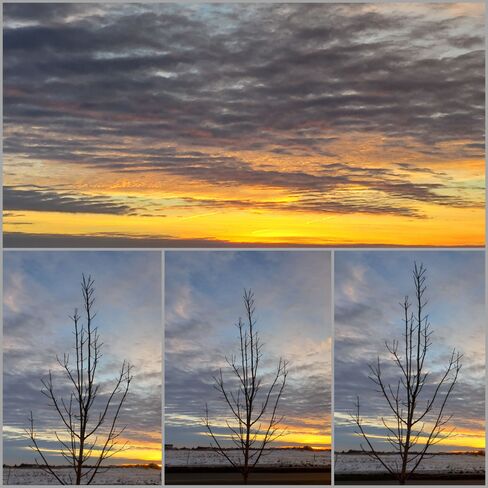 Sunrise Collage (10) Saskatoon, SK