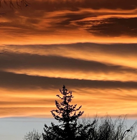 Sunset Lethbridge, Alberta, CA