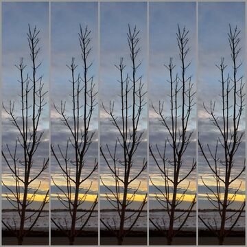 Sunrise Collage (12)
