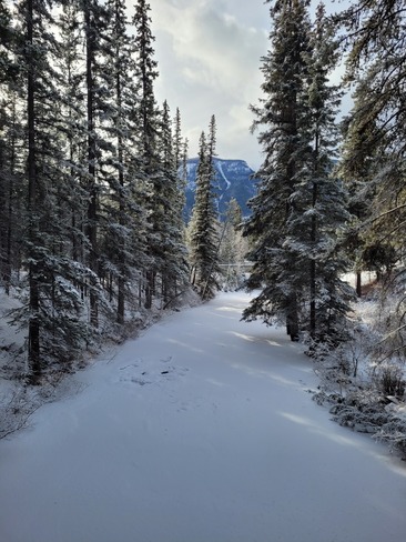 Snowy Trail Banff, AB