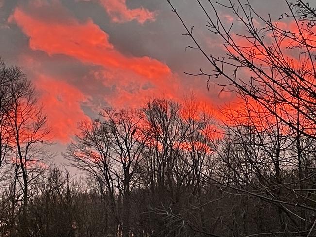 Red sky at night Cambridge, Ontario, CA