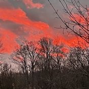 Red sky at night