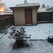 first snow fall in Richmond