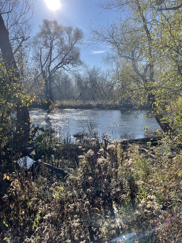 Peaceful pond Cambridge, Ontario, CA