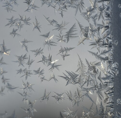 Frost on the window -20 C Cherry Grove