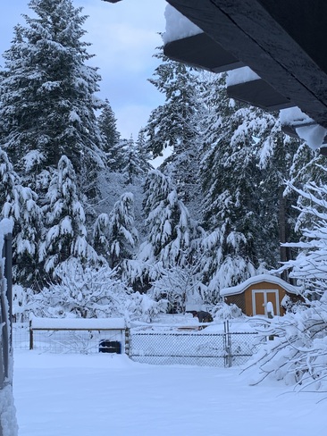 First snowfall of the season in North Courtenay, BC Merville, BC