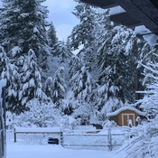 First snowfall of the season in North Courtenay, BC