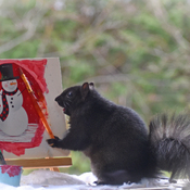Squirrel paints a snowman.