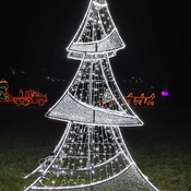 Festive Lights - Milt Dunnell Park aka "The Flats"