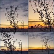 sunrise Collage (15)
