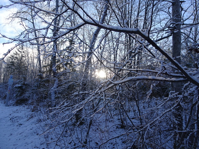 Beautiful Scenery After A Light Snowfall Along The Trails Sudbury, ON