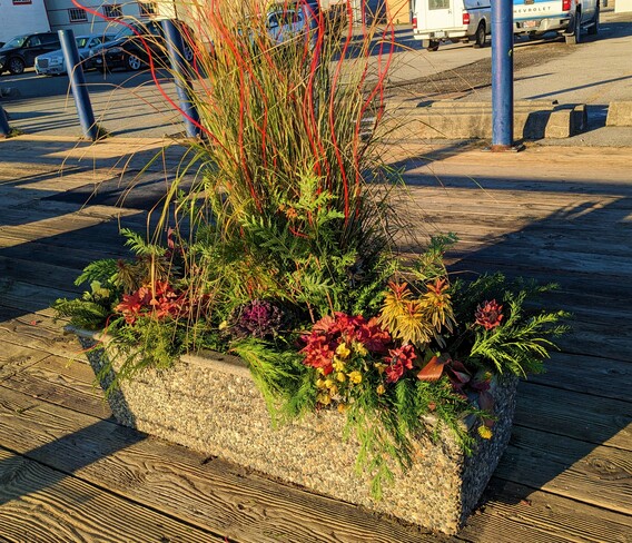 Winter flower planters Richmond, BC