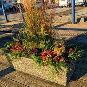 Winter flower planters