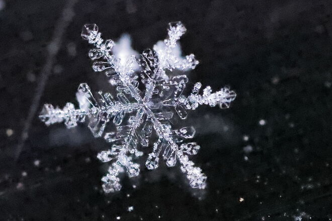 One Single snowflake Prince George, BC