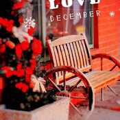 Dec 7 2022 Love in December - Thornhill