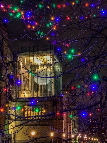 Christmas lights at the Museum of Nature Ottawa, Ontario, CA