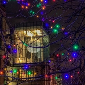 Christmas lights at the Museum of Nature