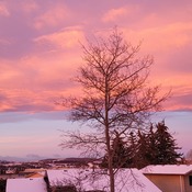 Chinook Arch at Dawn