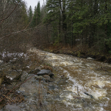 Ruisseau après la pluie