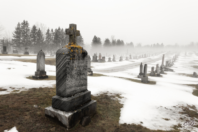 Brouillard sur le cimetière Bromont, QC