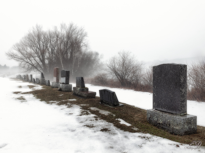 Brouillard sur le cimetière Bromont, QC