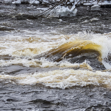 Fast water on the Moira River