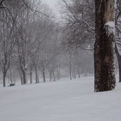 Parc Lafontaine sous la neige