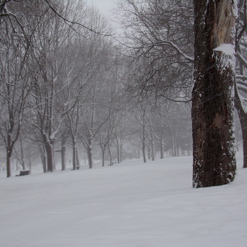 Parc Lafontaine sous la neige