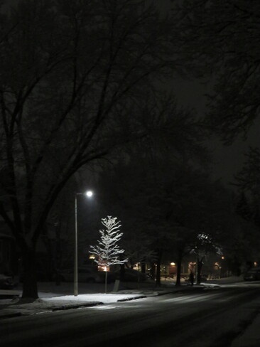 Wintery Night Oakville, ON