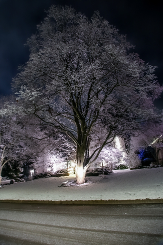 Winter wonderland Burlington, Ontario, CA