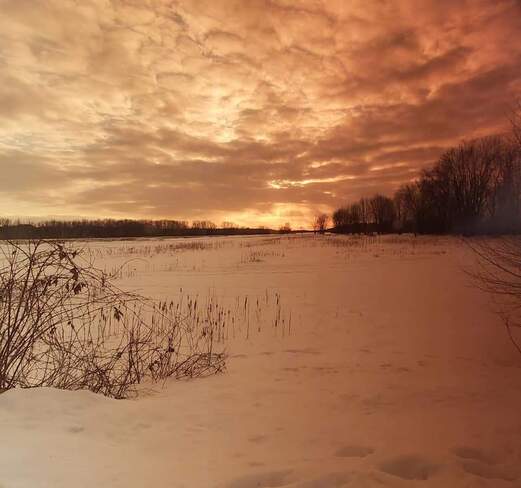 Winter Sunset Petrie Island Park, ON