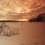 Winter Sunset