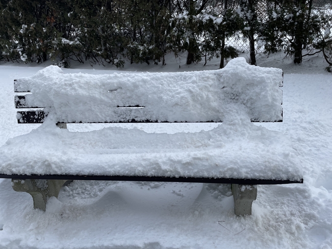 Snow upholstered bench North York, Ontario, CA