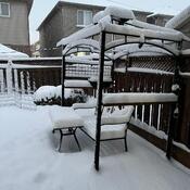 Backyard after Snow Storm