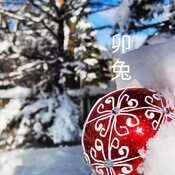 Jan 26 2023 -6C Picturesque - Beautiful Winter - Fresh snow Iris Chong