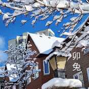 Jan 26 2023 -6C Picturesque - Beautiful Winter - Fresh snow Thornhill Iris Chong