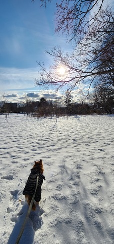 Maya enjoying the beautiful weather Mississauga, ON