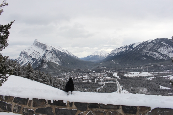 View of Banff Banff, Alberta, CA