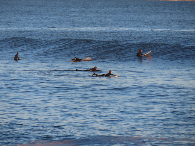 Surfers paddling and waiting! Broad Cove, NS