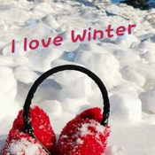 Jan 26 2023 Winter Wonderland - Fresh Snow after snowstorm Thornhill Iris Chong