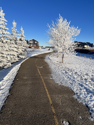 Beautiful morning Calgary, Alberta | T3J 4Y3