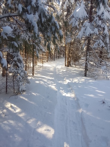 Le sentier de neige Rivière-Rouge, QC