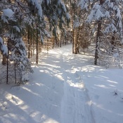 Le sentier de neige