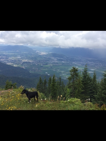 Look at the view Chilliwack, British Columbia, CA
